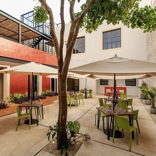 WhatsApp-Image-2024-03-20-at-7.32.03-PM